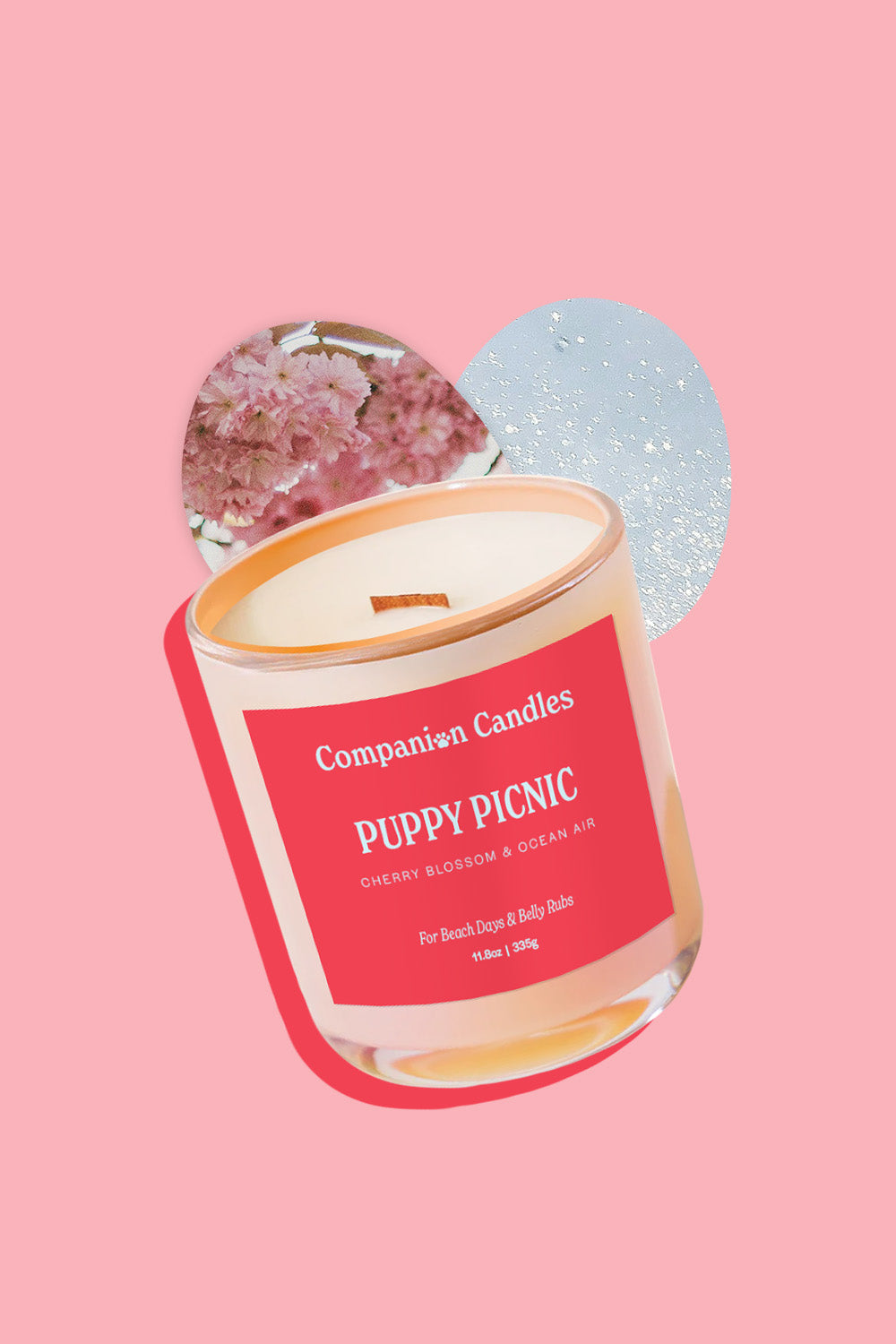 Puppy Picnic
