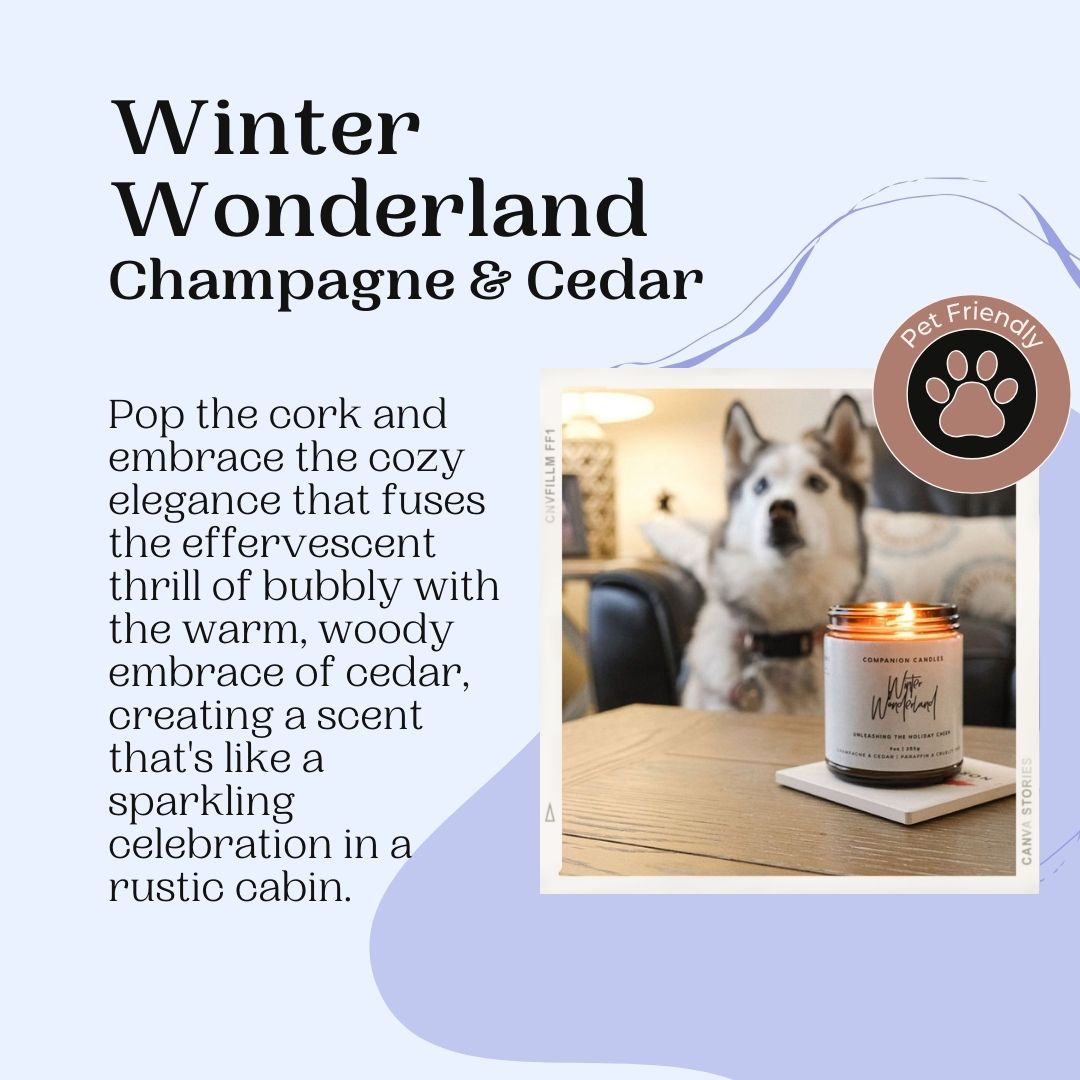 Winter Wonderland // Champagne & Cedar