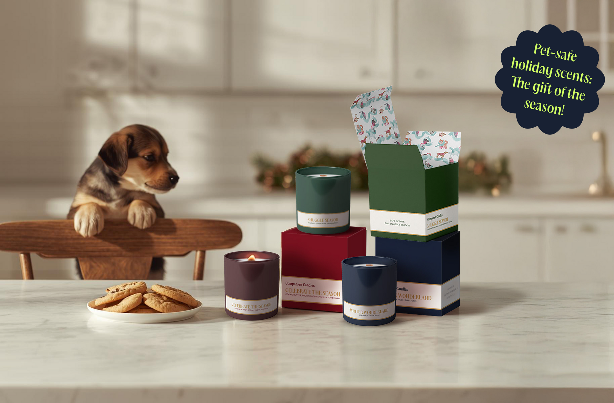 Pet-Safe Winter Scents