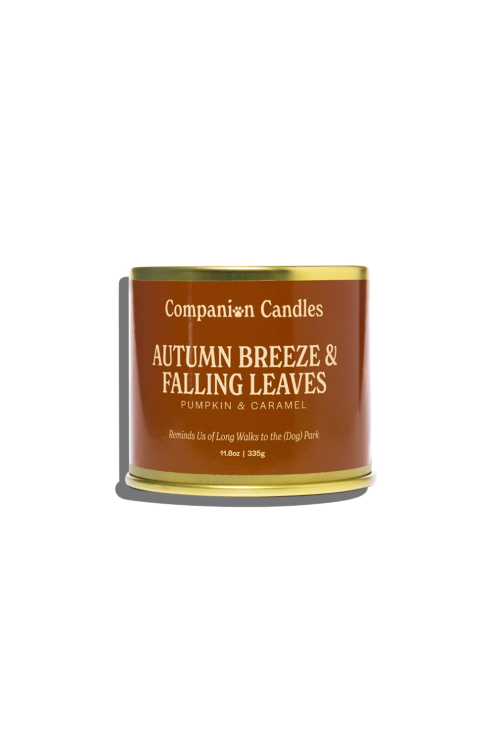Autumn Breeze & Falling Leaves