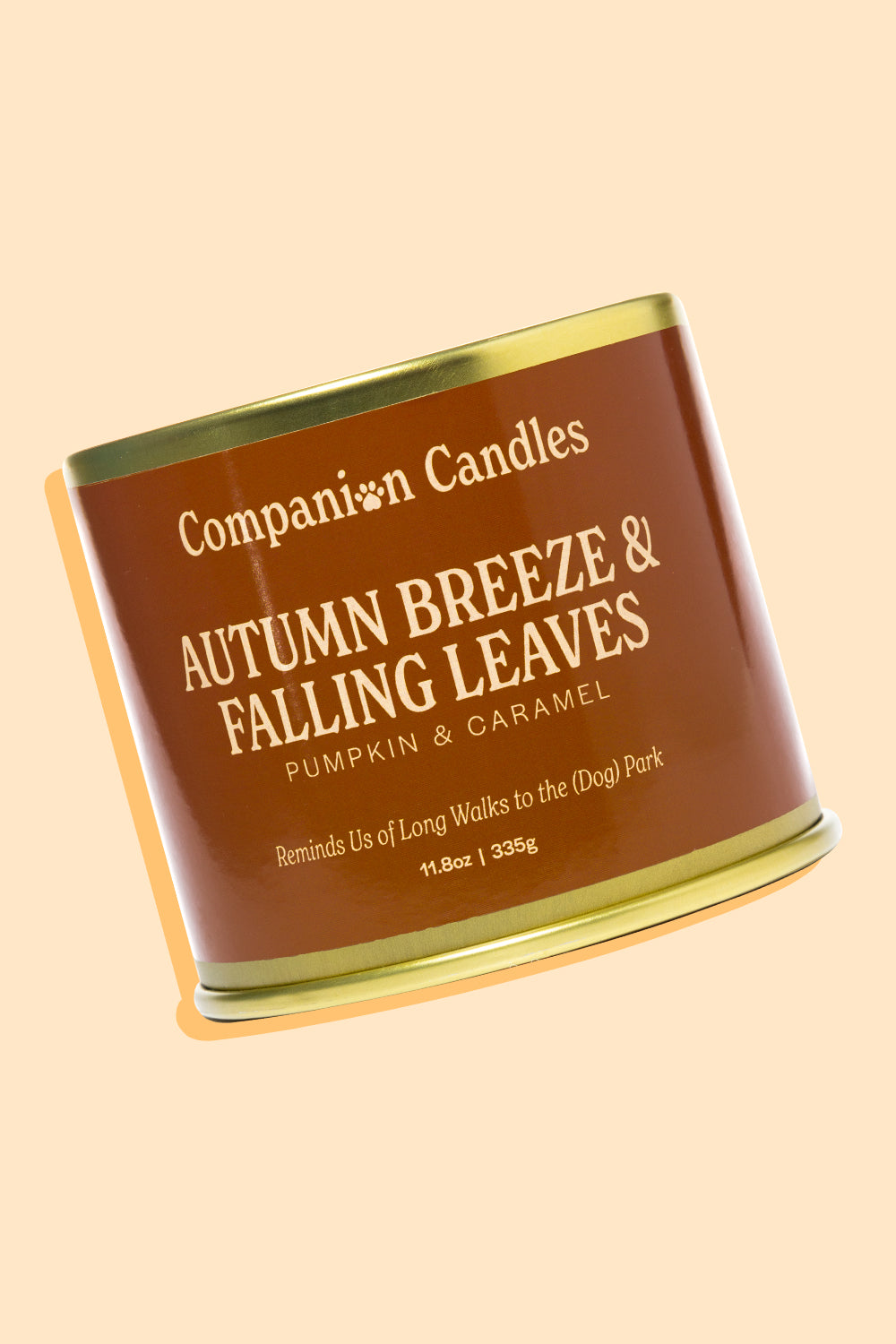 Autumn Breeze & Falling Leaves