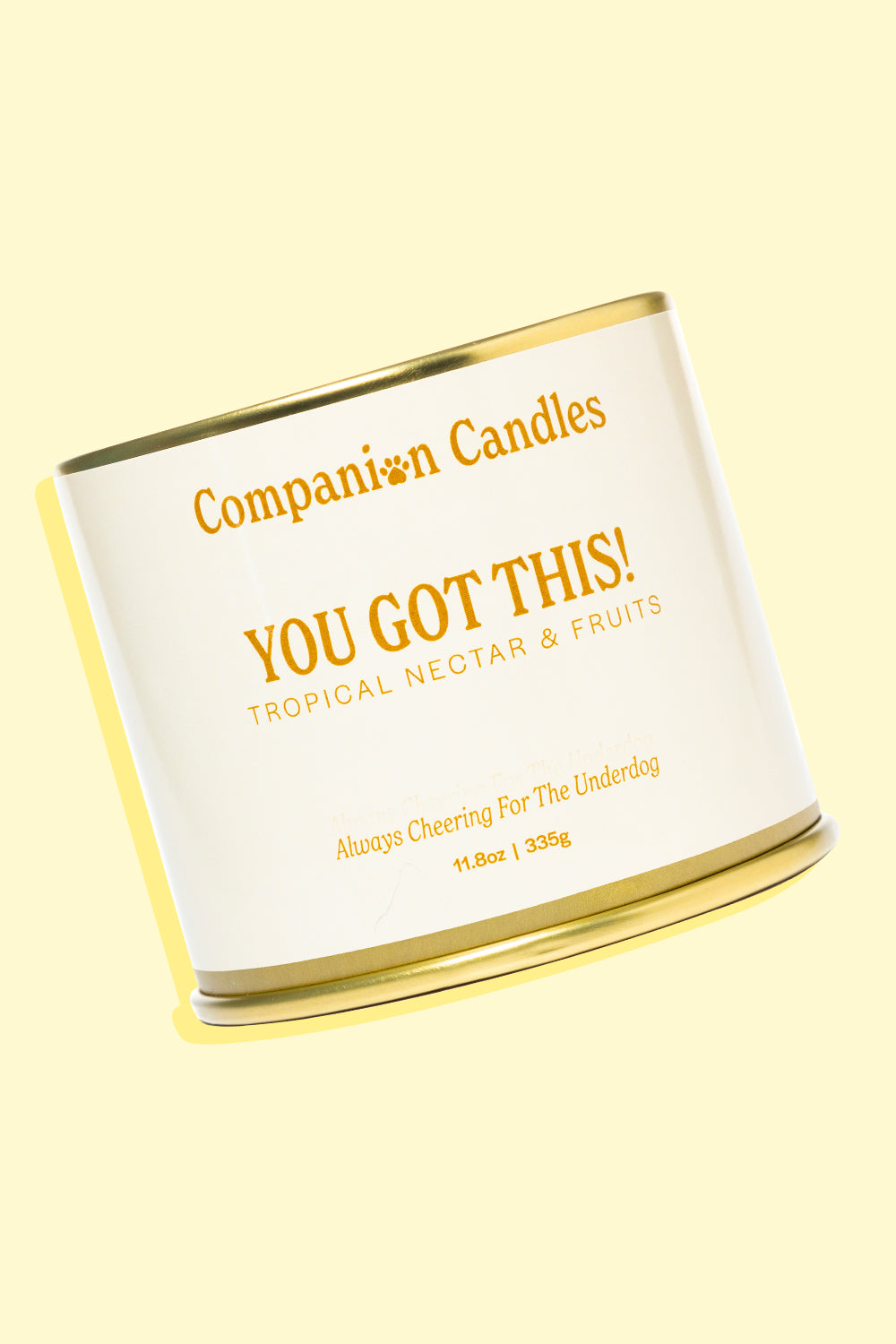 You Got This!