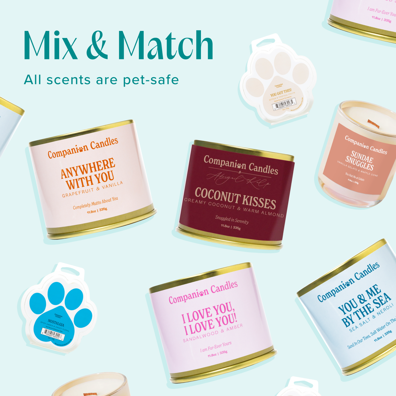 The Best Seller Bundle